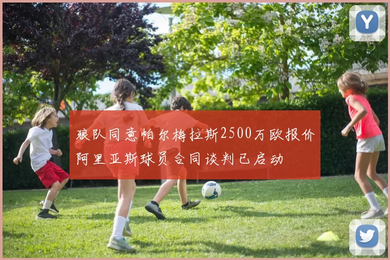 狼队同意帕尔梅拉斯2500万欧报价阿里亚斯球员合同谈判已启动