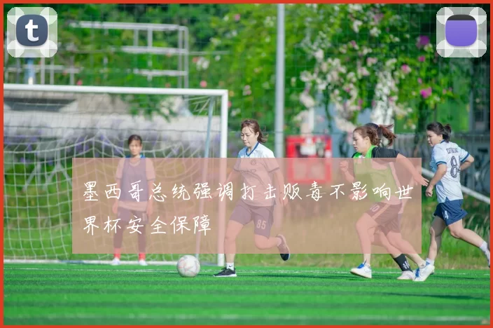 墨西哥总统强调打击贩毒不影响世界杯安全保障